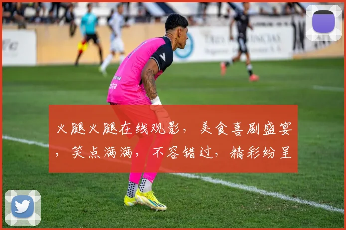 火腿火腿在线观影，美食喜剧盛宴，笑点满满，不容错过，精彩纷呈，值得一看